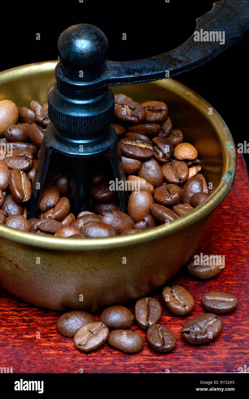 coffee beans in coffee grinder Stock Photo Alamy