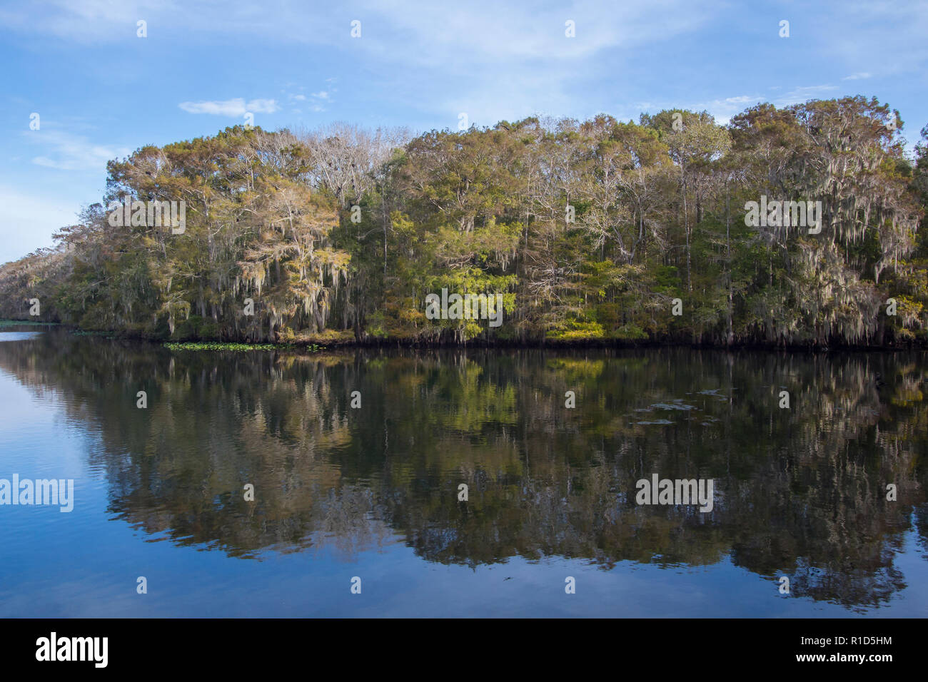 Suwannee River, Florida Stock Photo Alamy