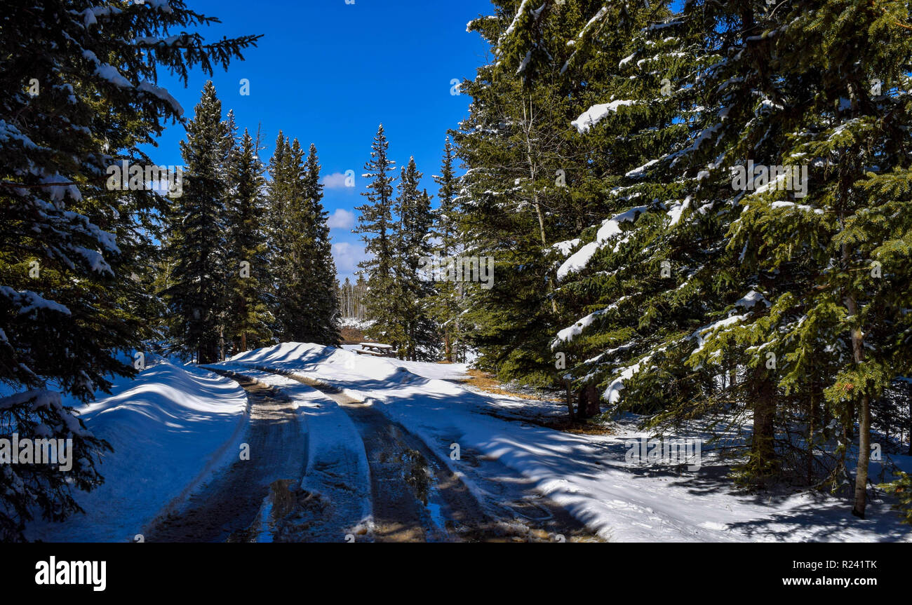 Sibbald hires stock photography and images Alamy