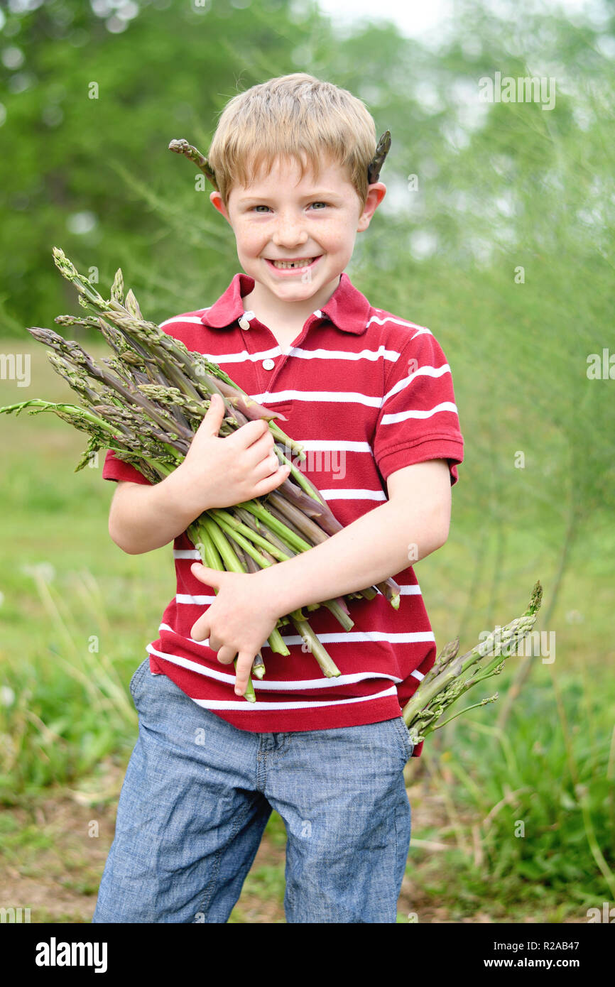 boy holding asparagus Stock Photo Alamy