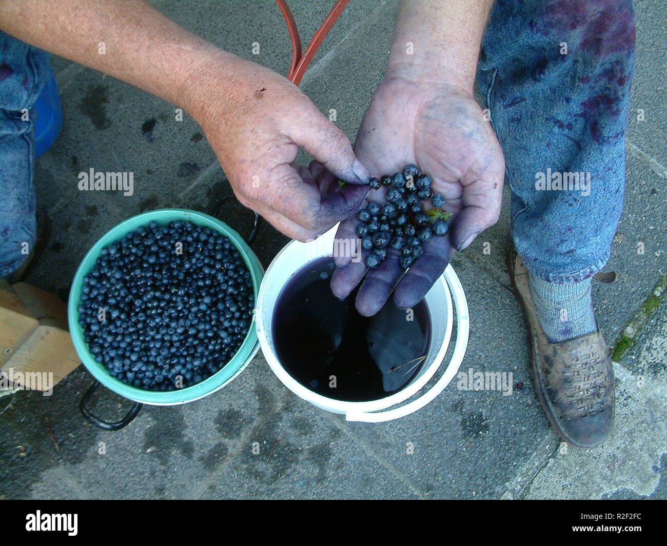 everything is blue Stock Photo Alamy