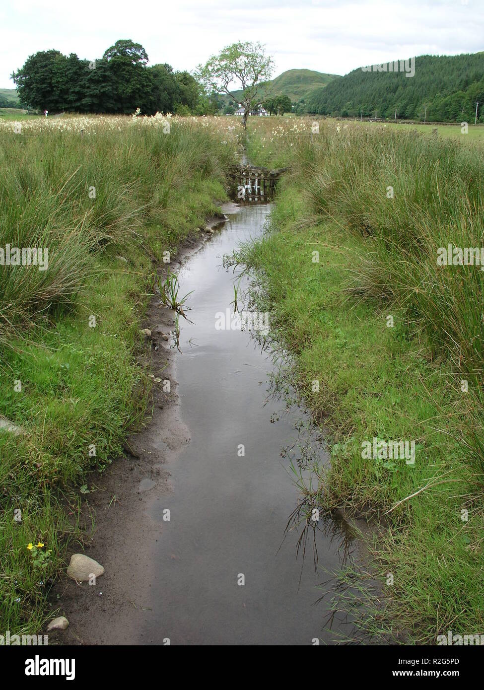 Dyer brook hires stock photography and images Alamy