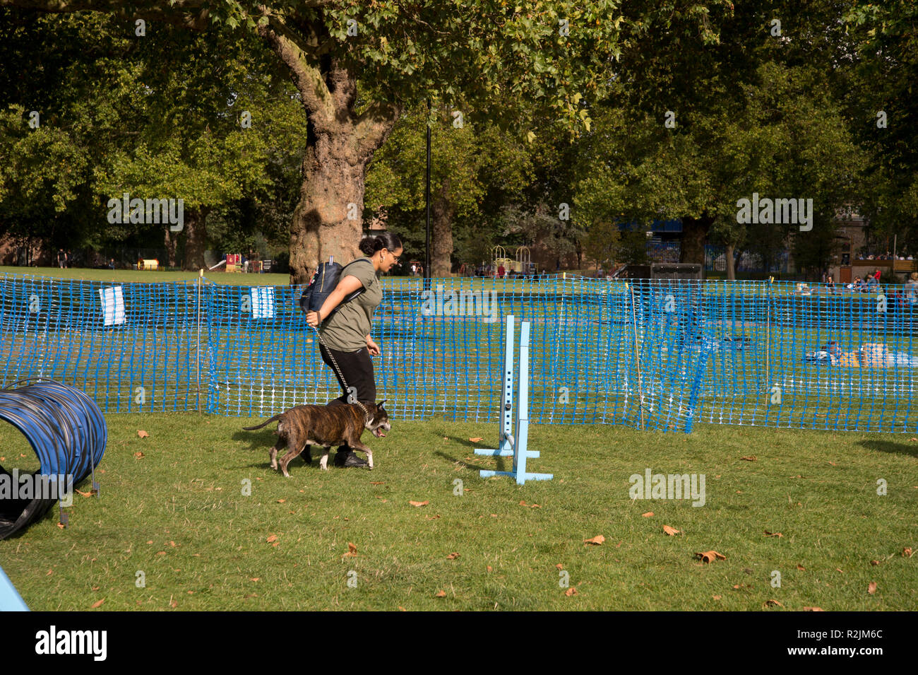 Hackney. London Fields. Dog show Stock Photo Alamy