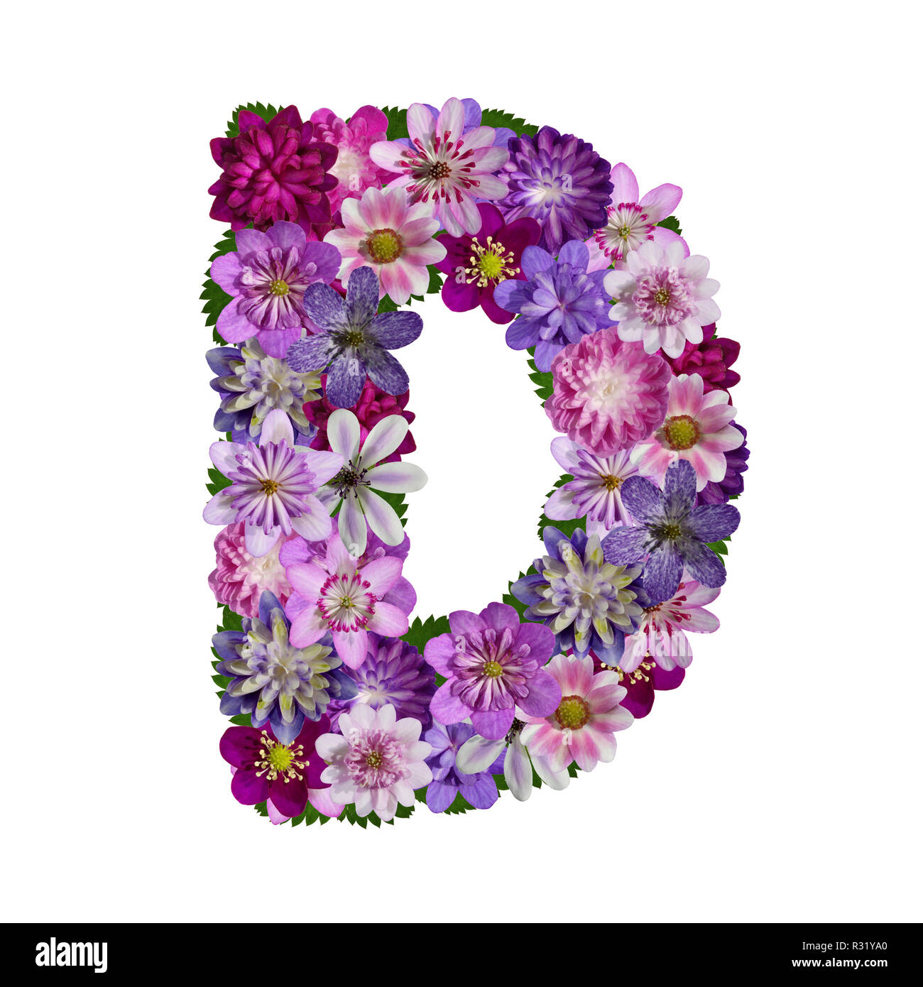 Letter d flowers hires stock photography and images Alamy