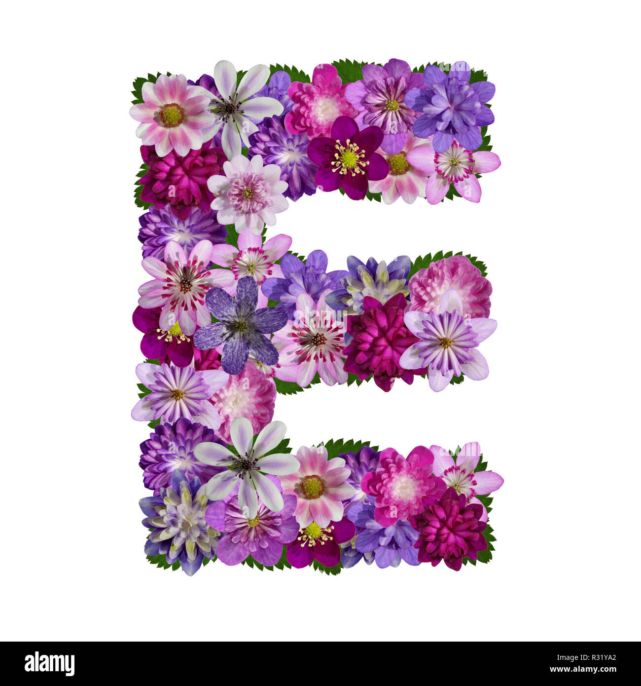 flowers alphabet letter e Stock Photo Alamy