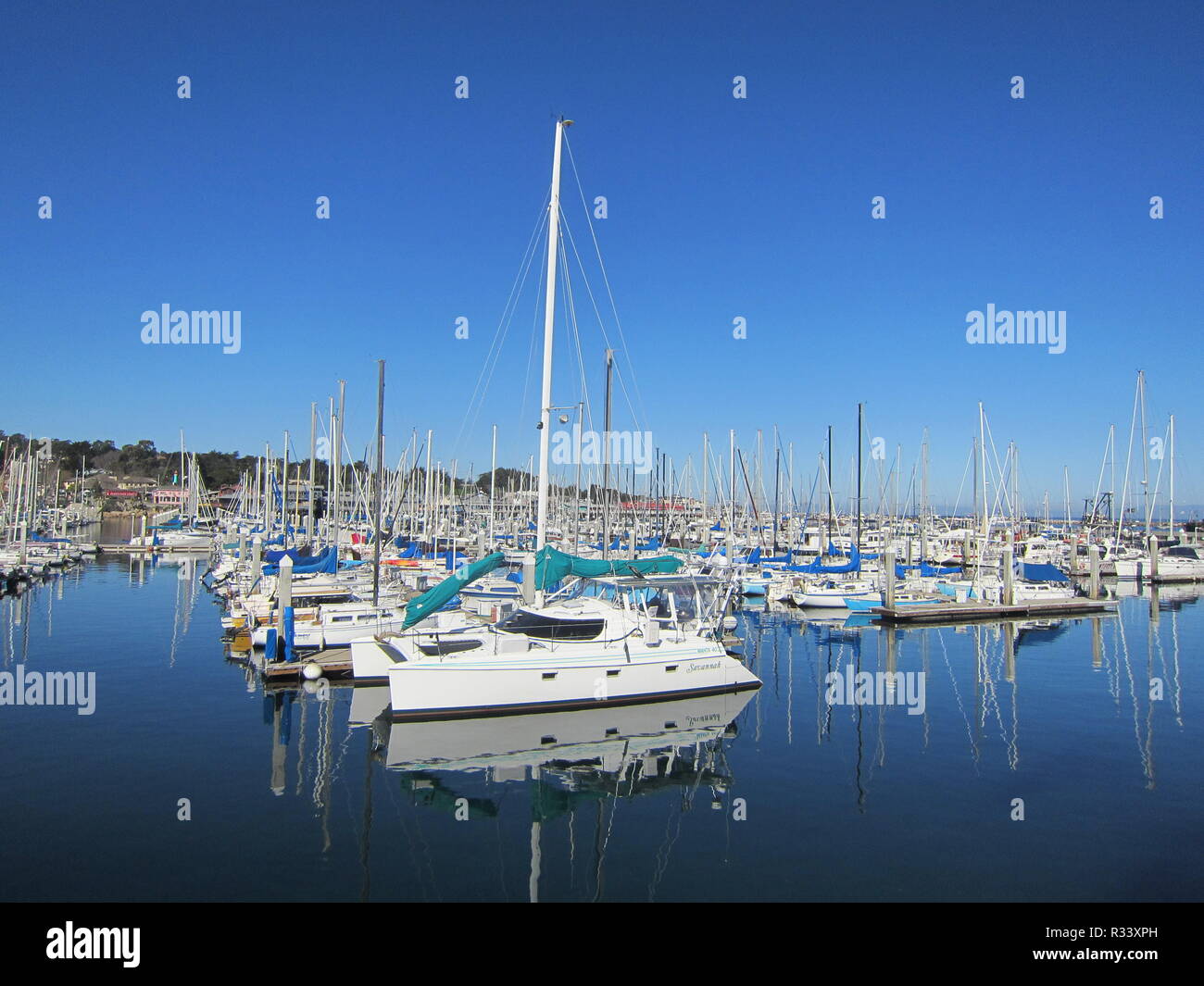 marina in monterey Stock Photo Alamy