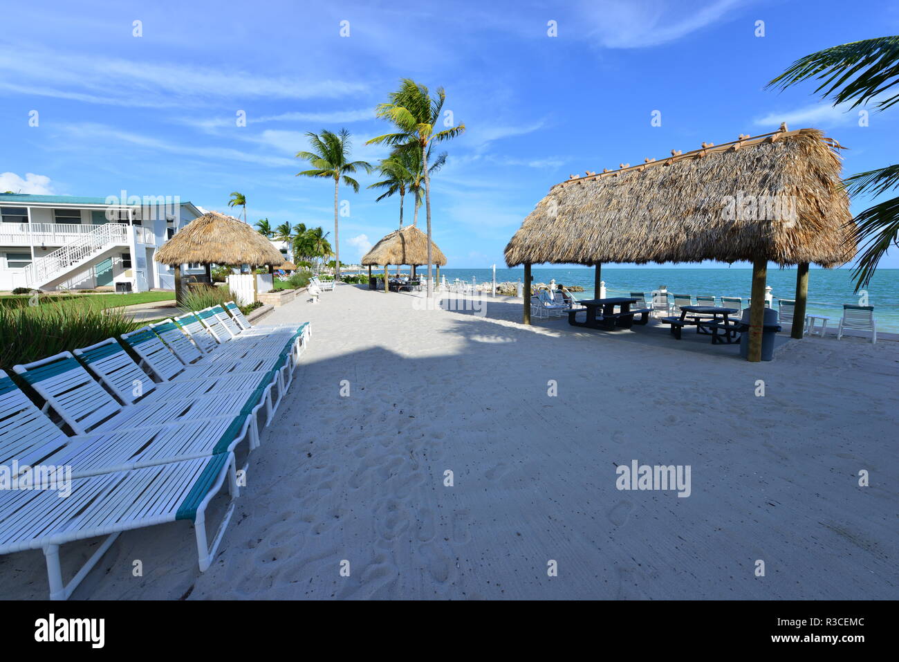 Key colony beach in Florida Stock Photo Alamy