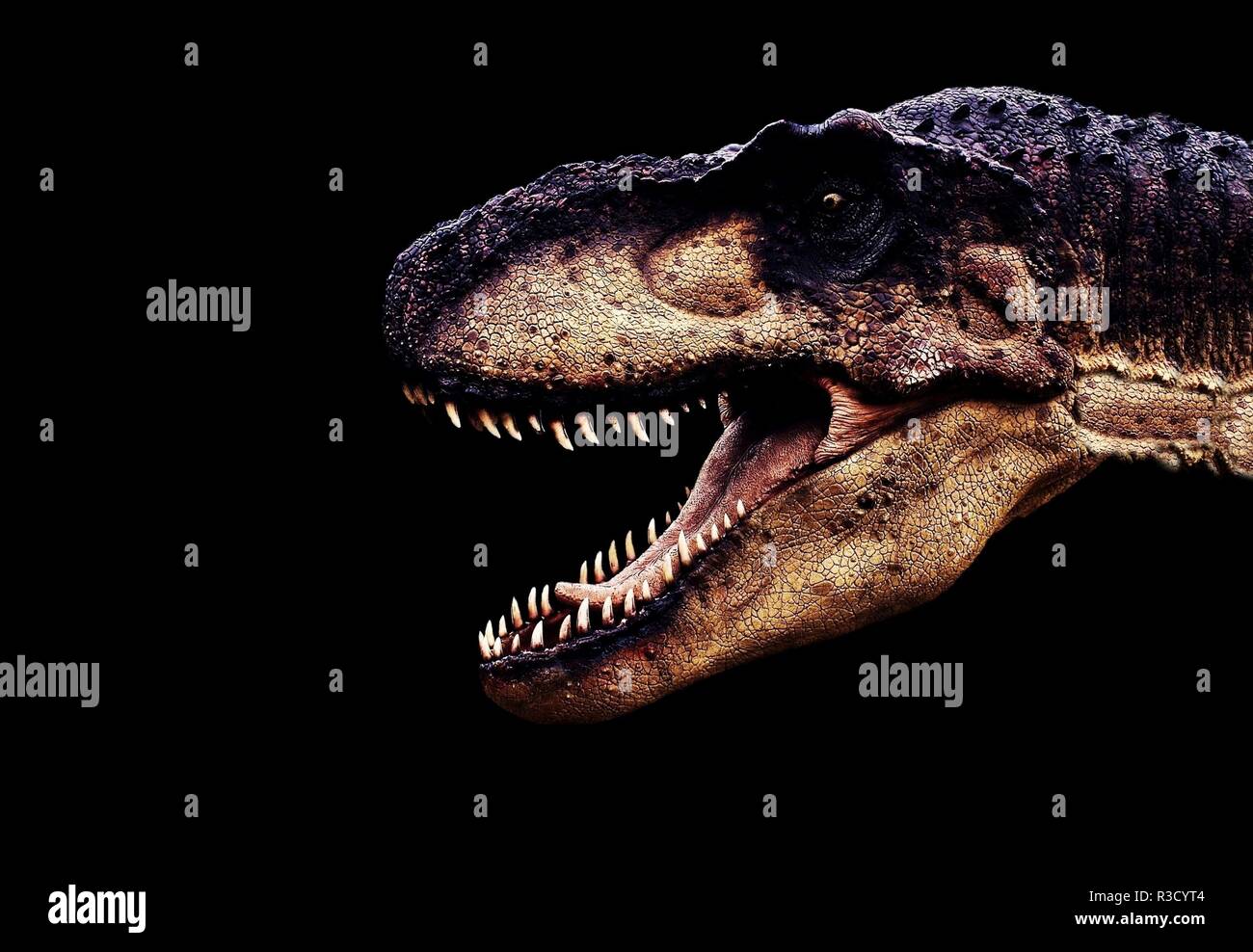 dinosaur Stock Photo Alamy