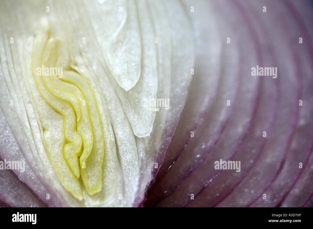 onion cross selection Stock Photo Alamy