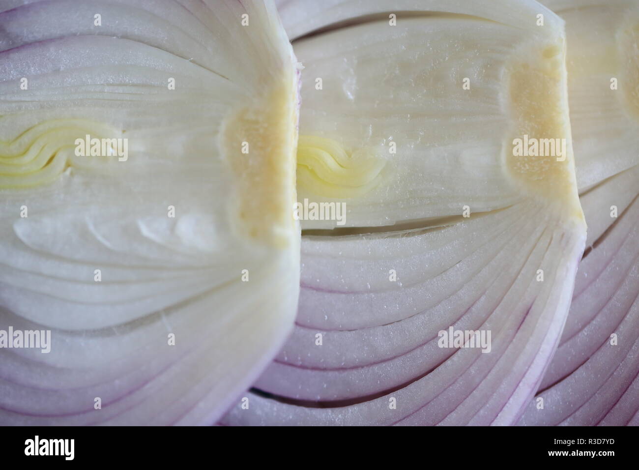 onion cross selection Stock Photo Alamy