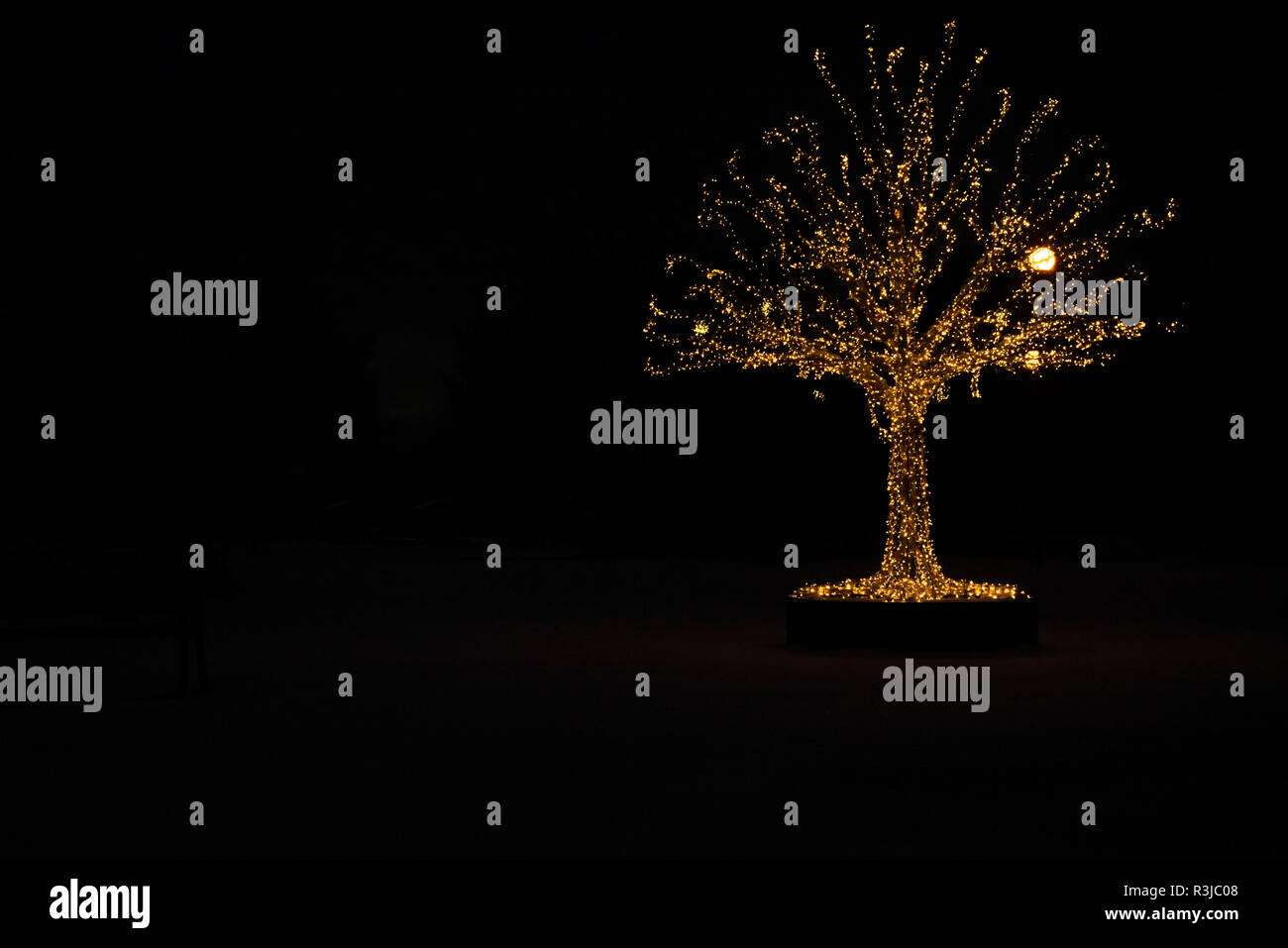 Gold lights Christmas Tree Stock Photo Alamy