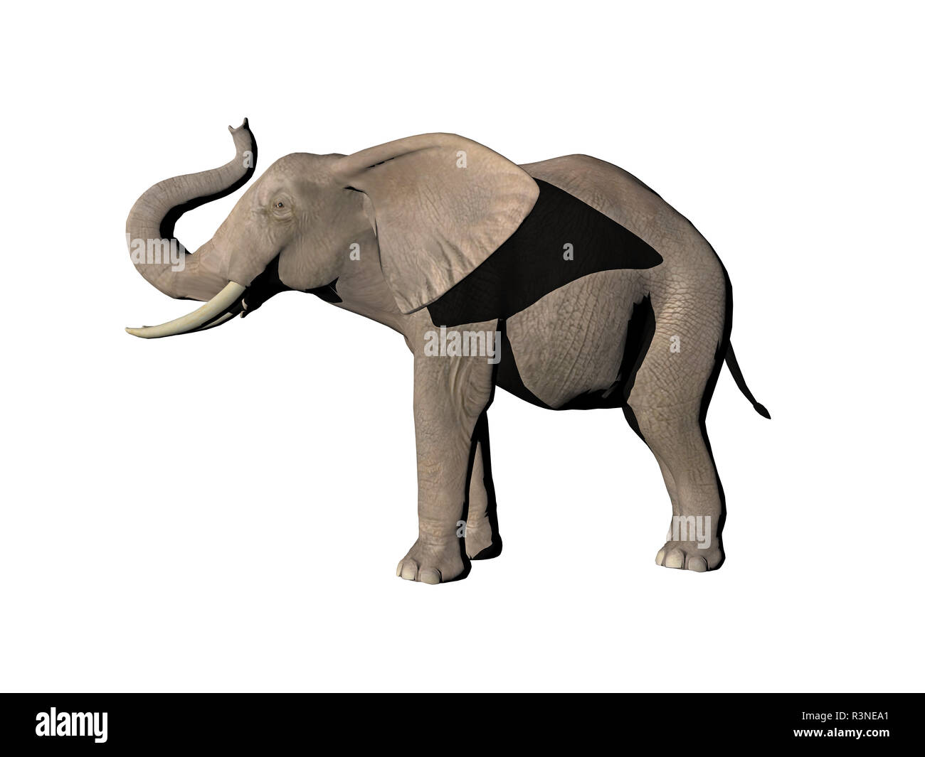 elephant released with raised trunk Stock Photo Alamy