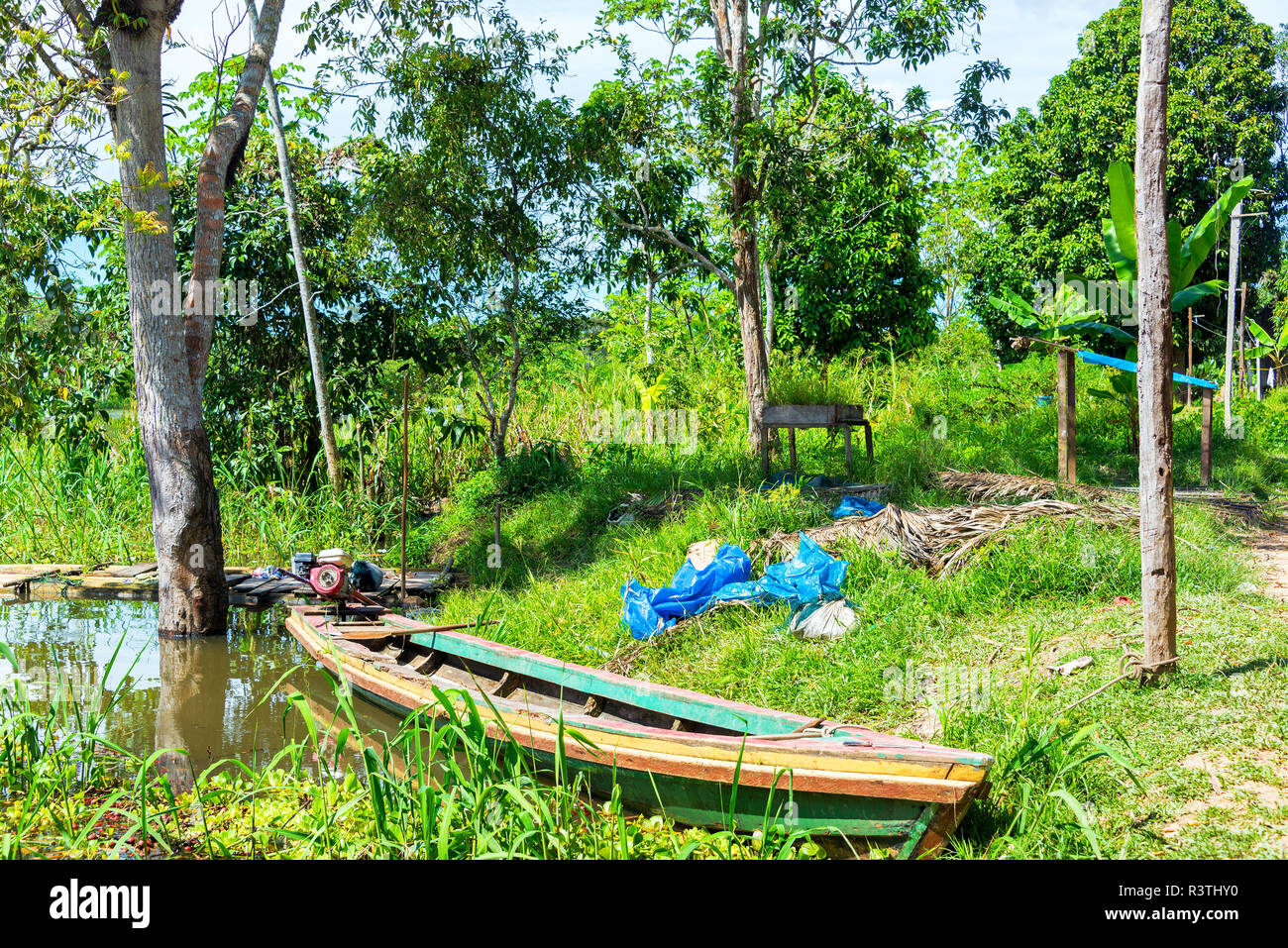 Canoe in the Amazon Stock Photo Alamy