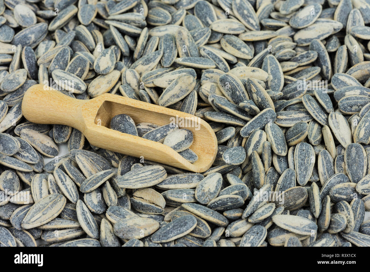 sunflower seeds roasted Stock Photo Alamy