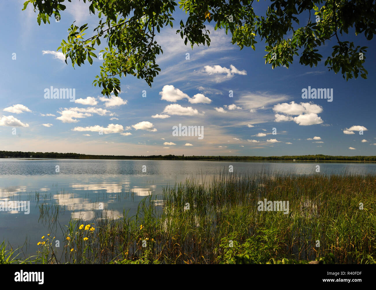 Lake Waukaunabo, Minnesota Stock Photo Alamy