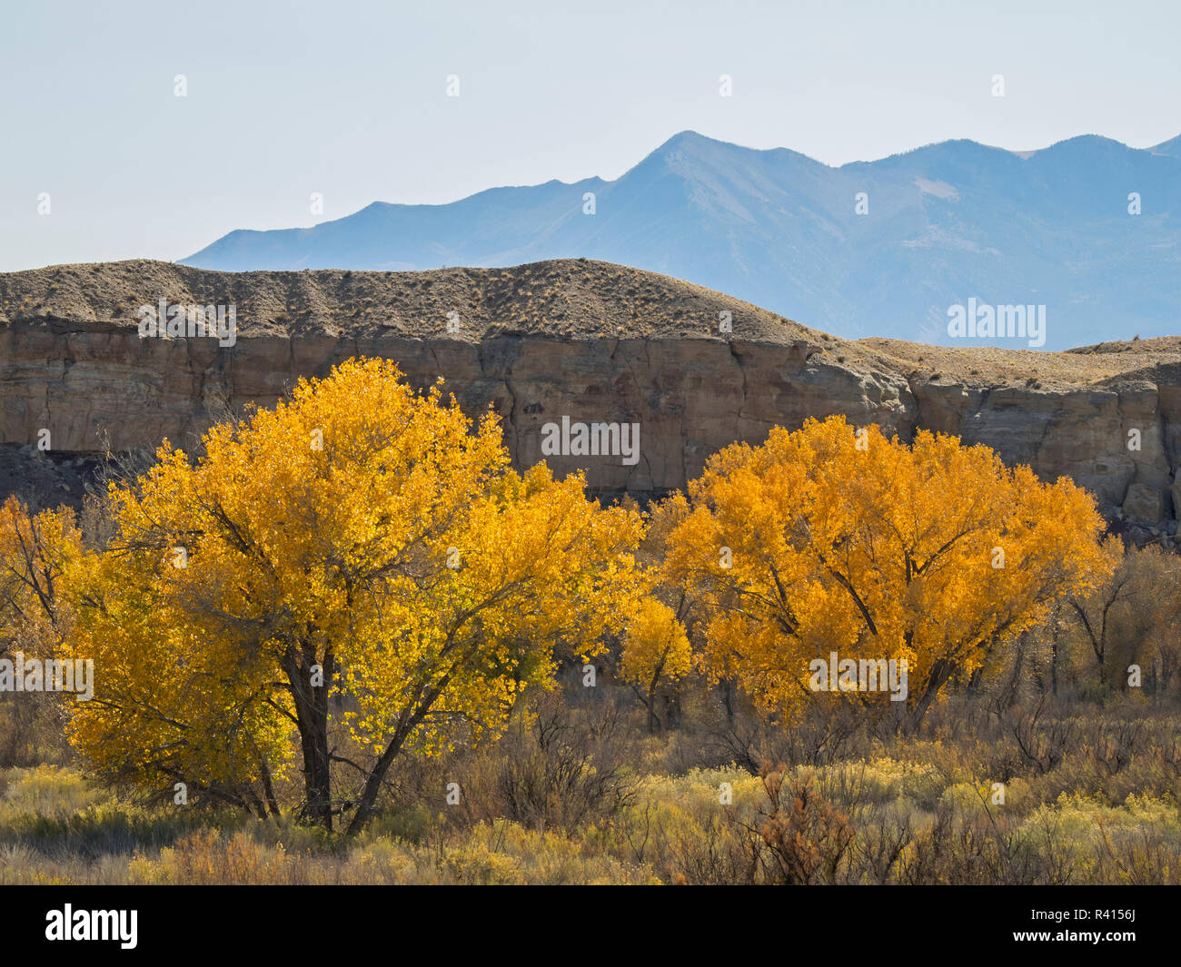 Utah, Wayne County, Upper Blue Hills Stock Photo Alamy