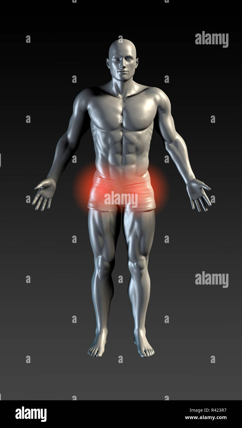 Male groin hires stock photography and images Alamy