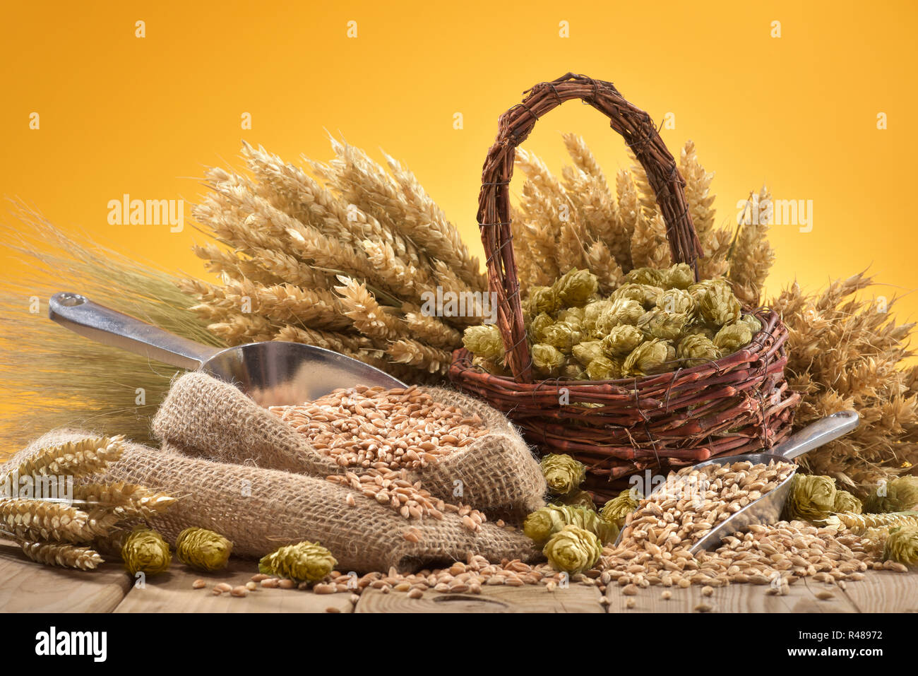 beer ingredients Stock Photo Alamy