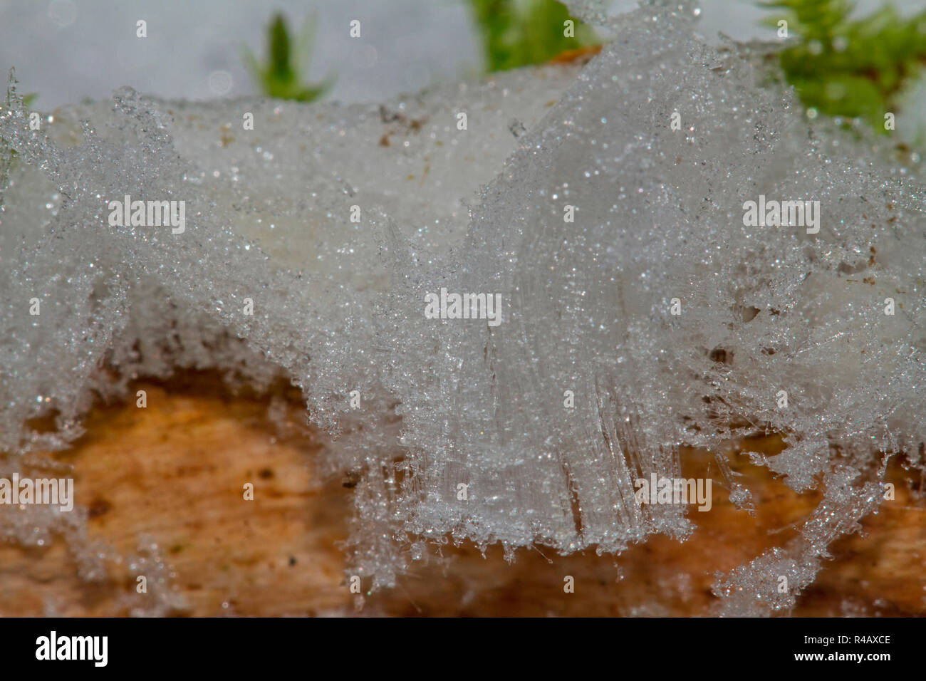 Hair ice hires stock photography and images Alamy