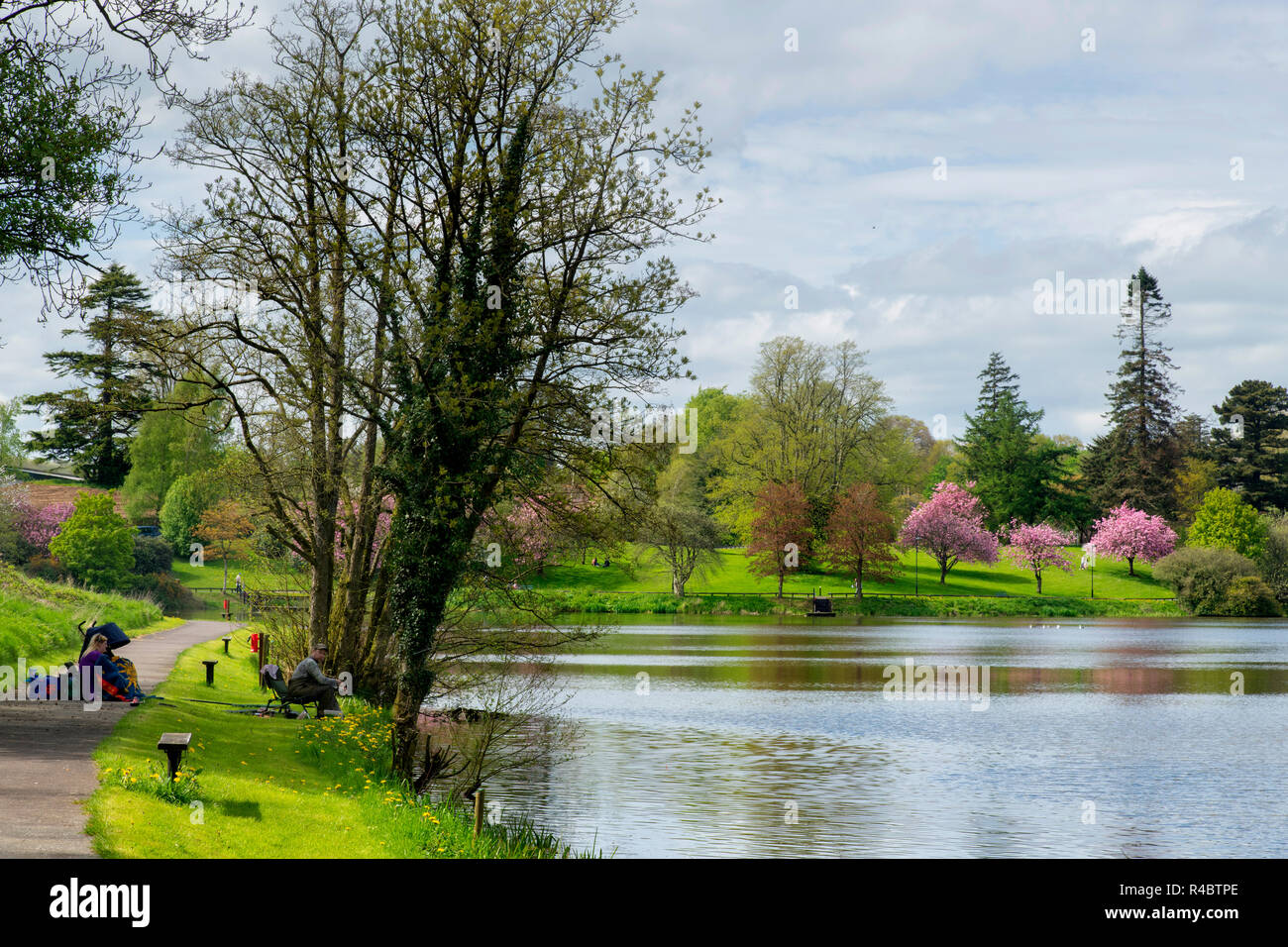 Dungannon park hires stock photography and images Alamy