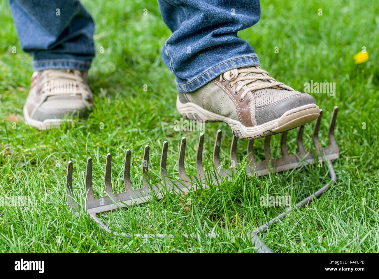 Accident foot rake garden hires stock photography and images Alamy