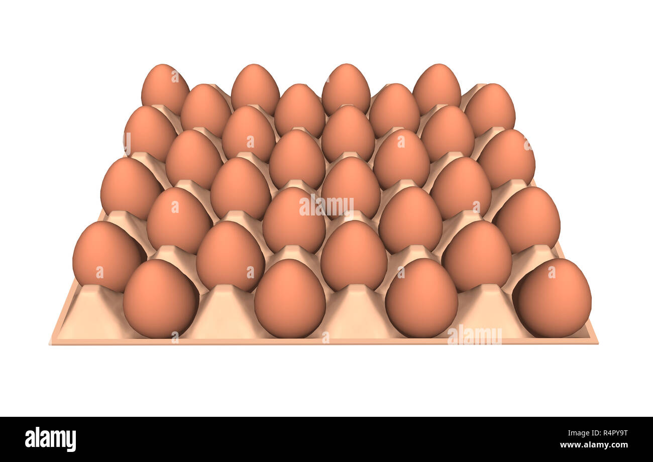 egg carton free Stock Photo Alamy