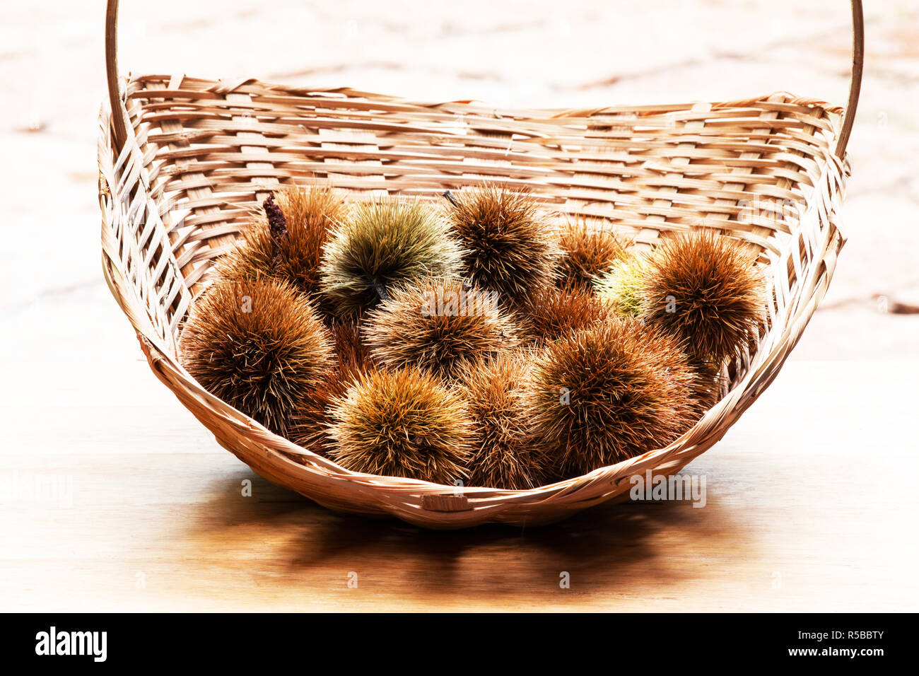 Fresh picked chestnuts in a basket Stock Photo Alamy