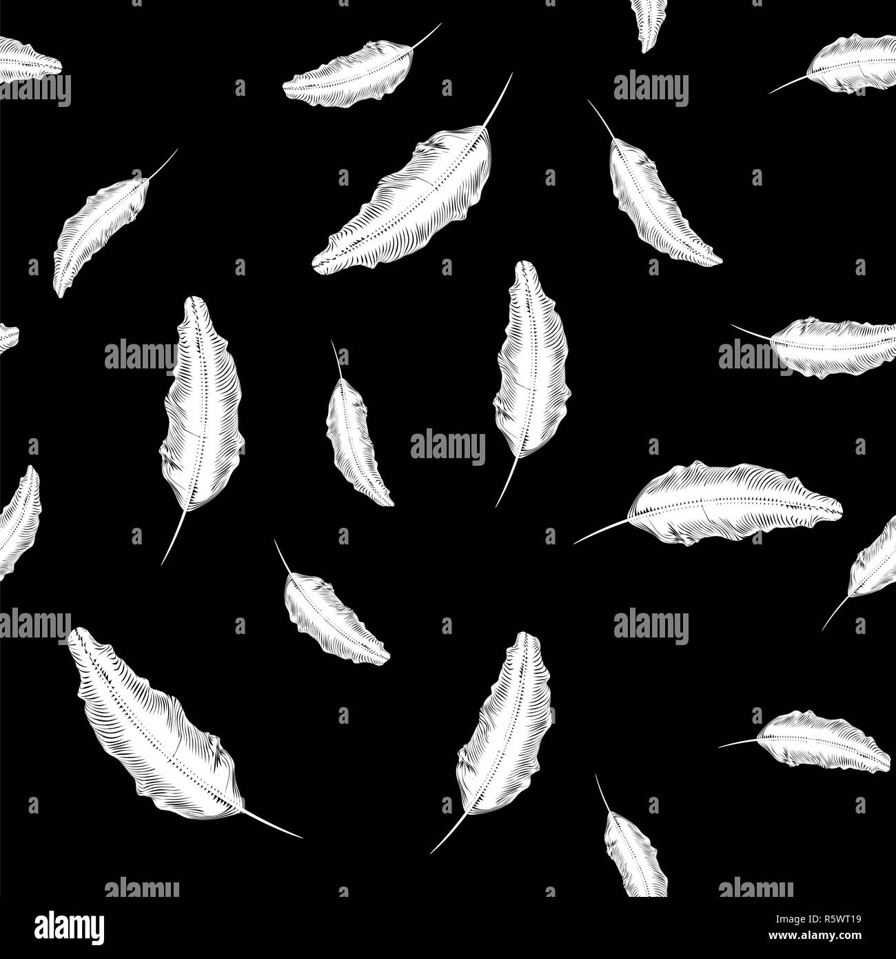 White Feather Seamless Pattern Stock Photo Alamy