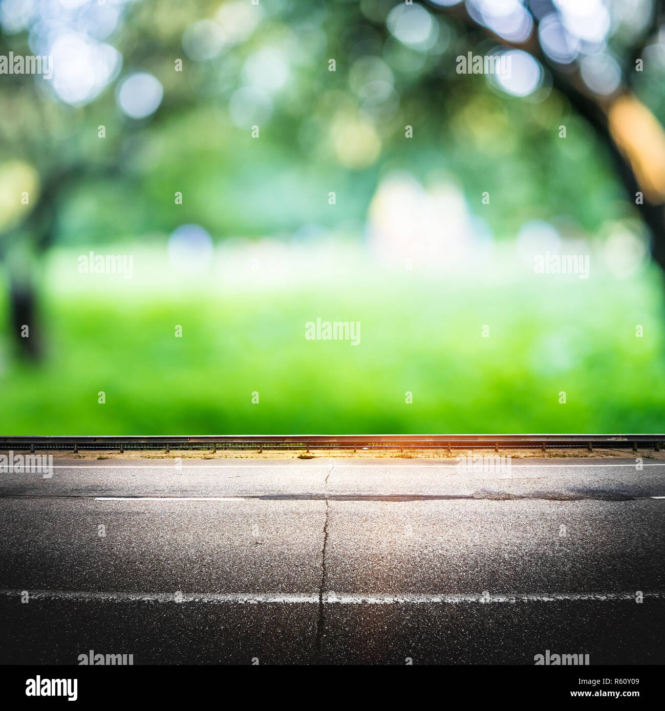 Green forest road background Stock Photo Alamy