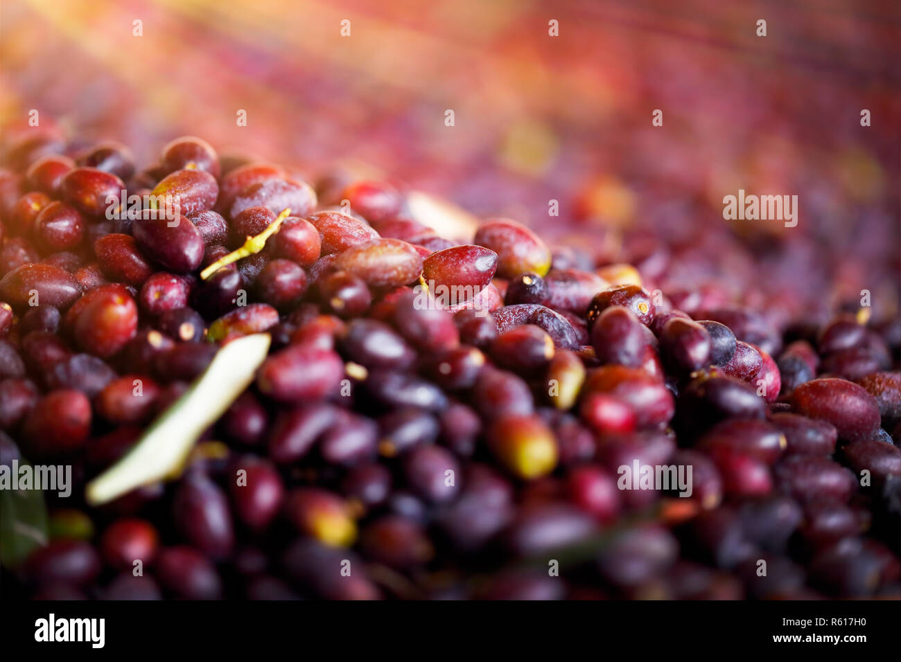 Black olives background Stock Photo Alamy