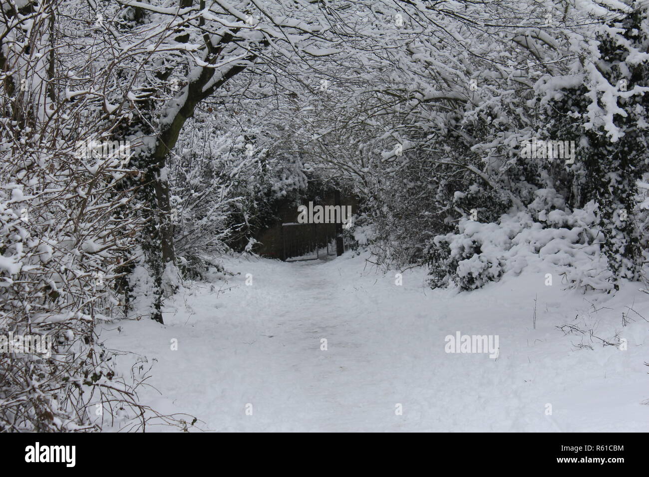 Snow in Kent Stock Photo Alamy
