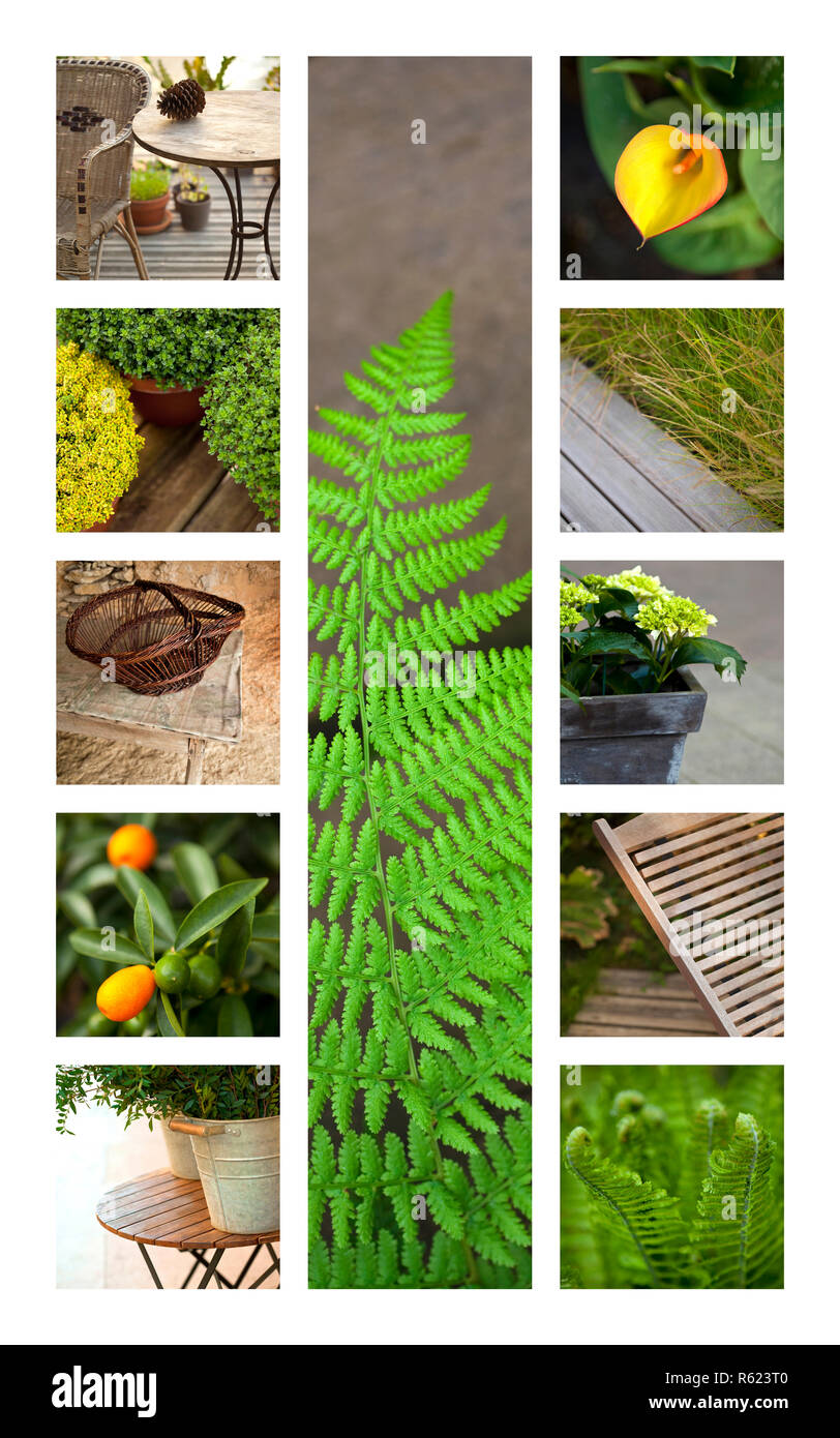 Flowers and plants Stock Photo Alamy