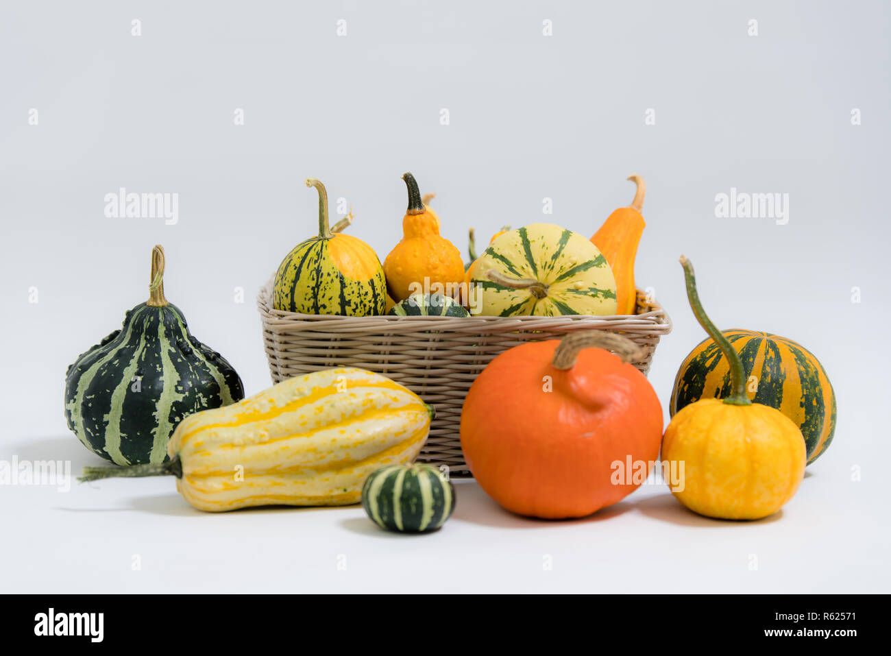 colorful ornamental squashes Stock Photo Alamy