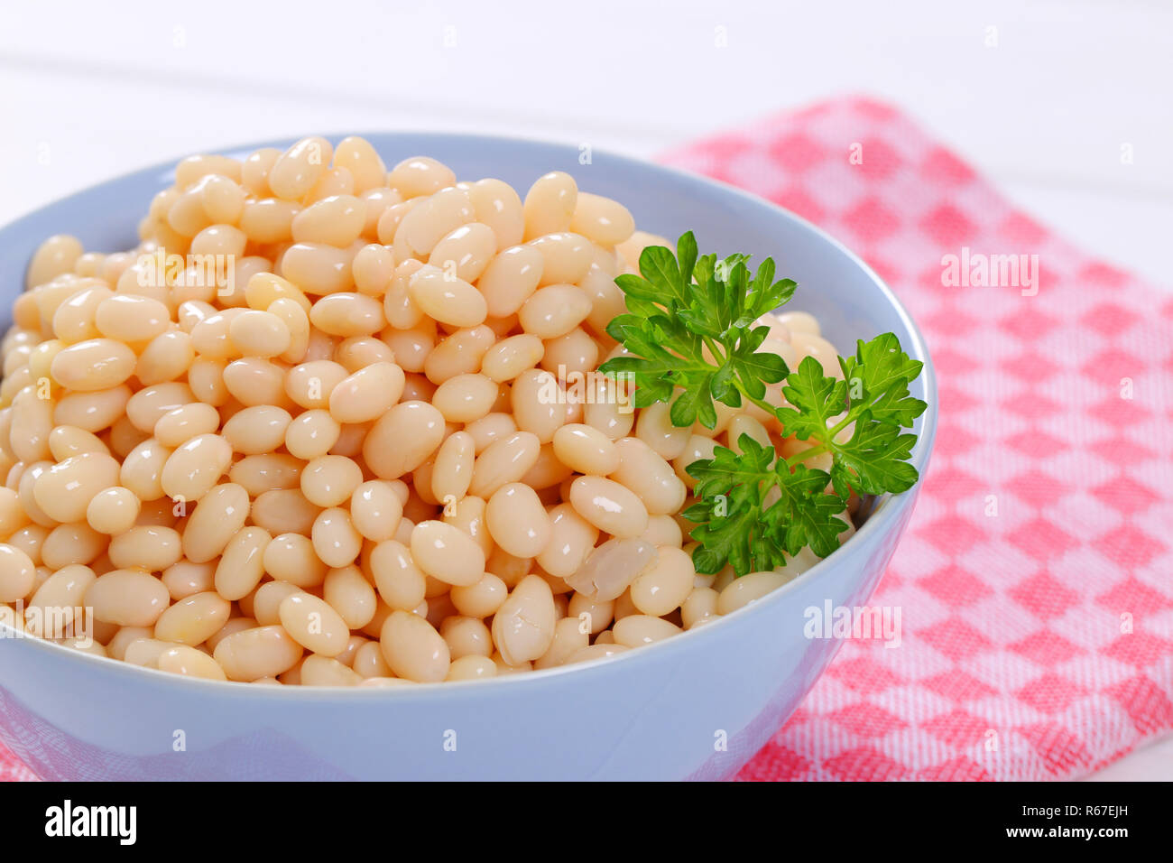 canned white beans Stock Photo Alamy