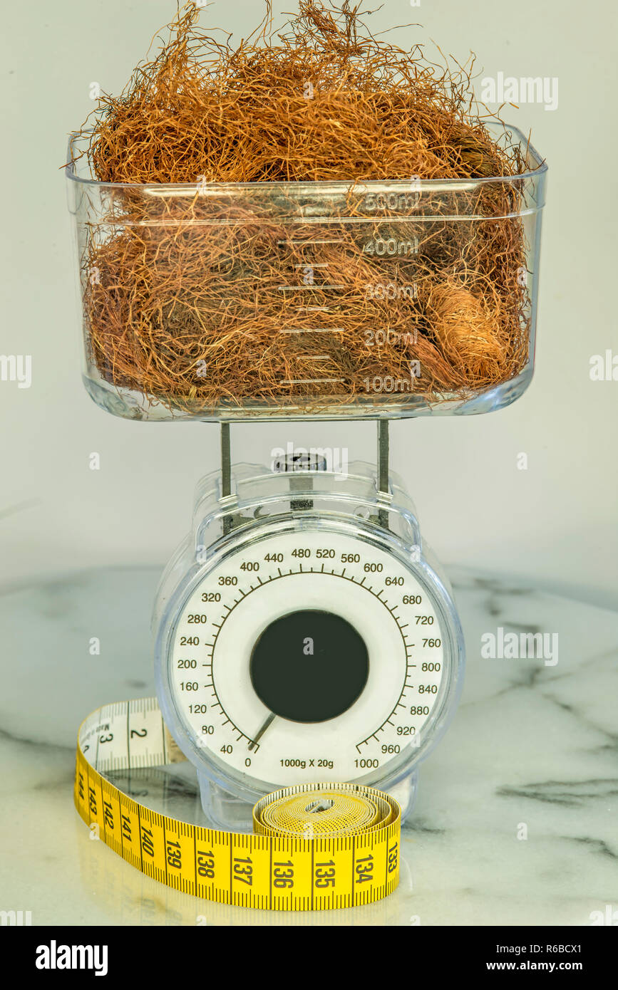 Maize Beard Tea Stock Photo Alamy