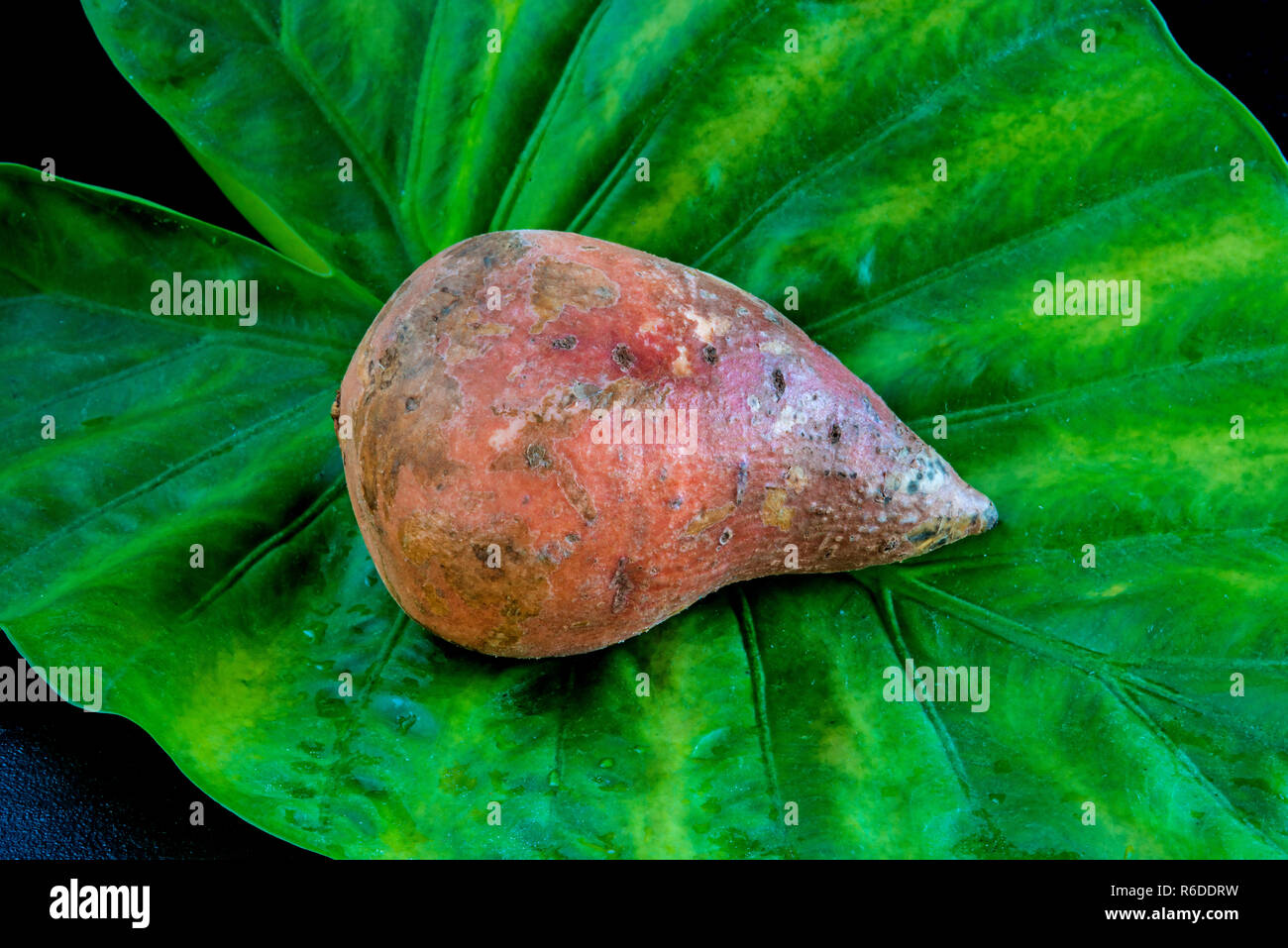 Yams High Resolution Stock Photography and Images Alamy