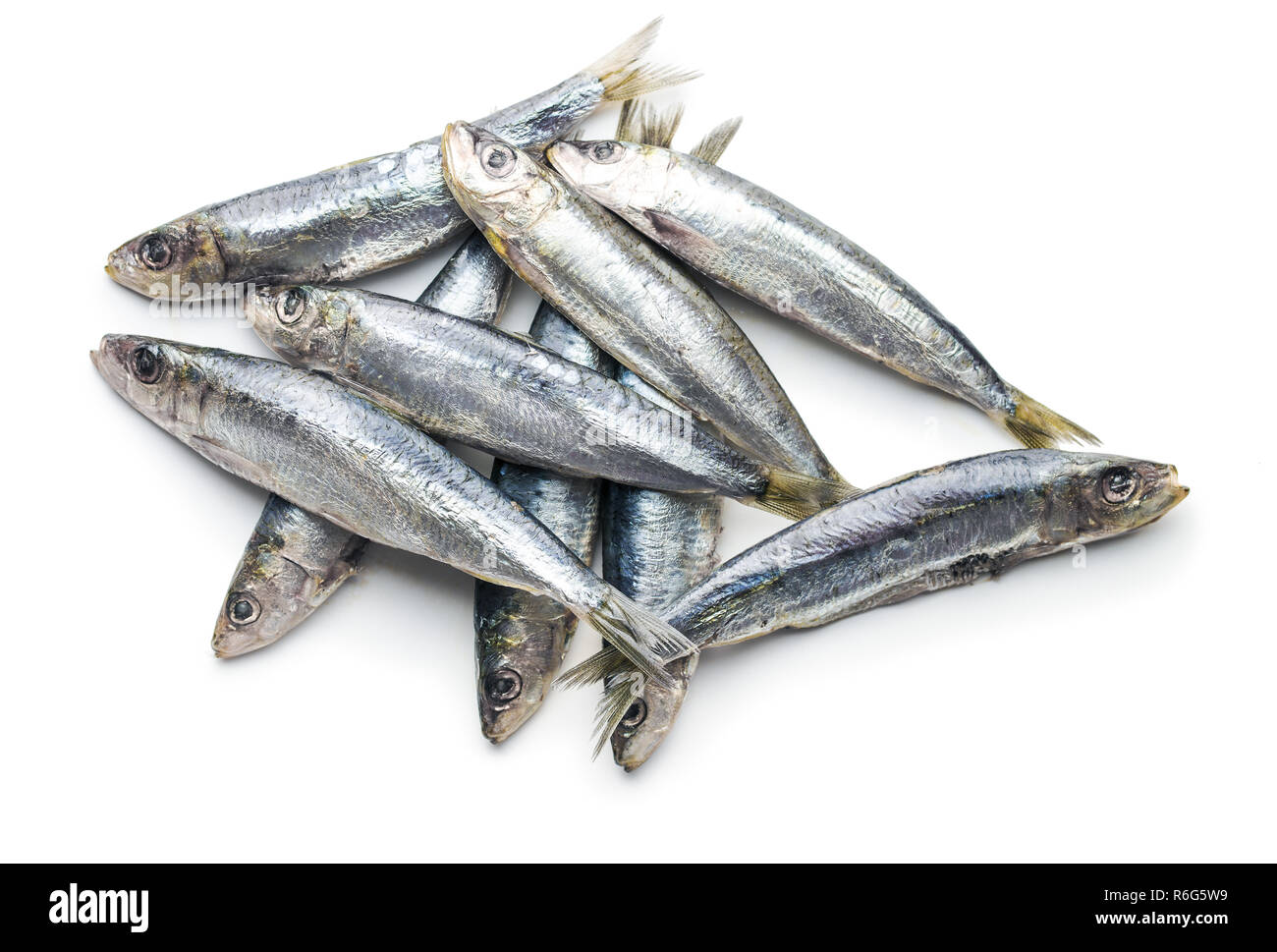 Raw sardines fish Stock Photo Alamy