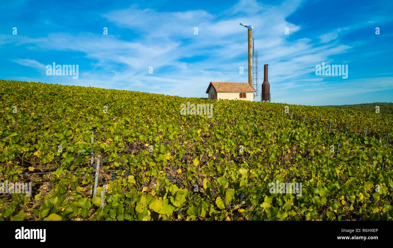 Burgundy Vineyard Stock Photos & Burgundy Vineyard Stock Images Alamy