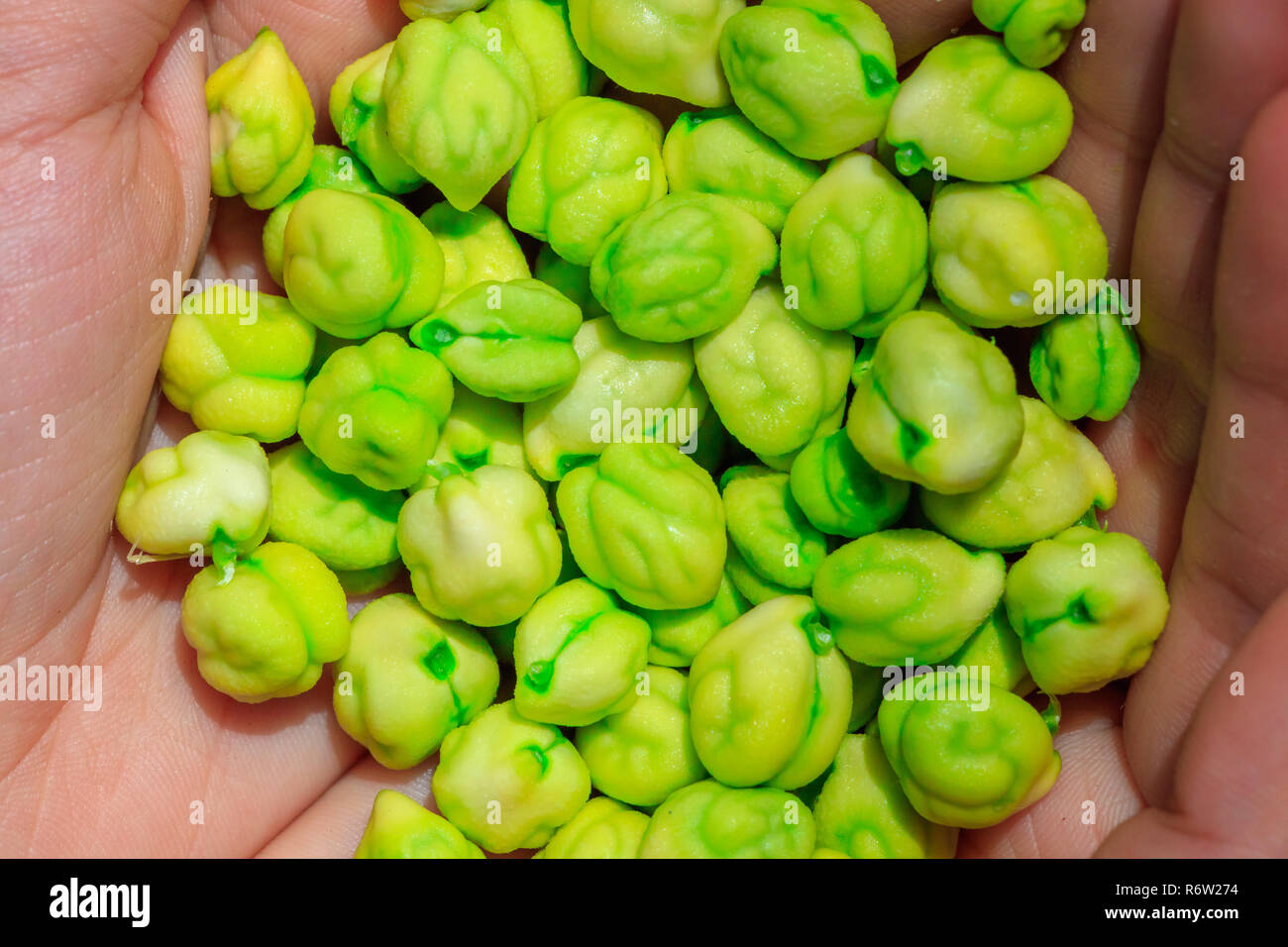 Fresh green chickpeas Stock Photo Alamy