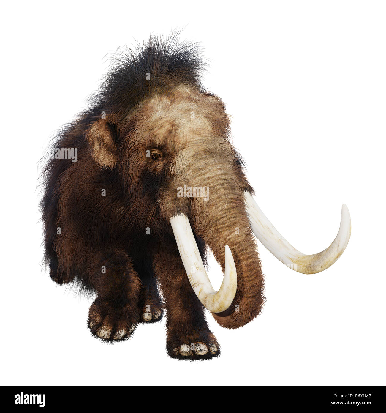 Woolly Mammoth Cut Out Stock Images & Pictures Alamy
