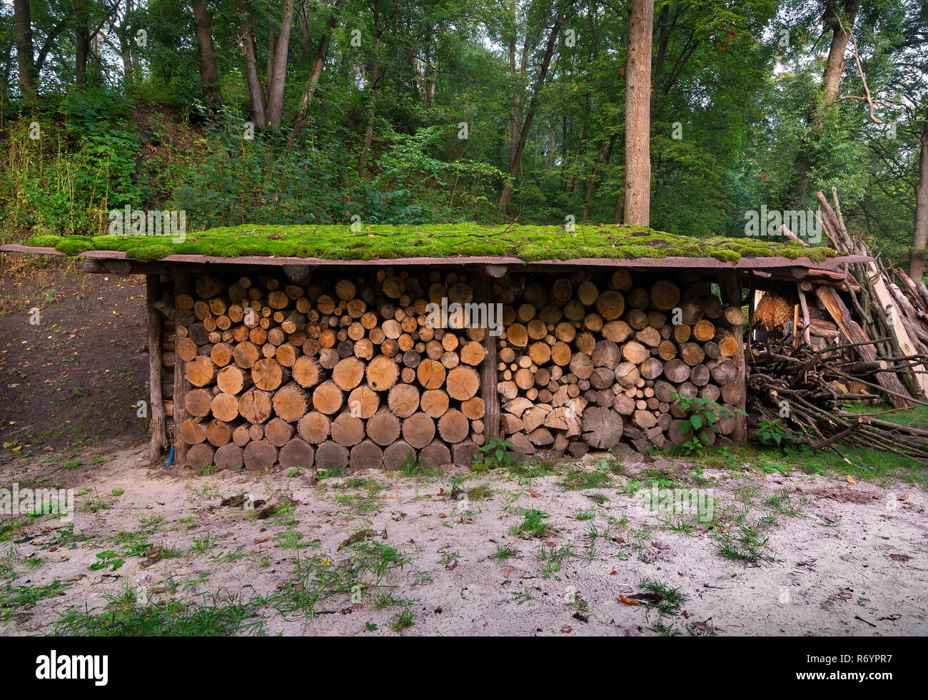 Firewoods under canopy Stock Photo Alamy
