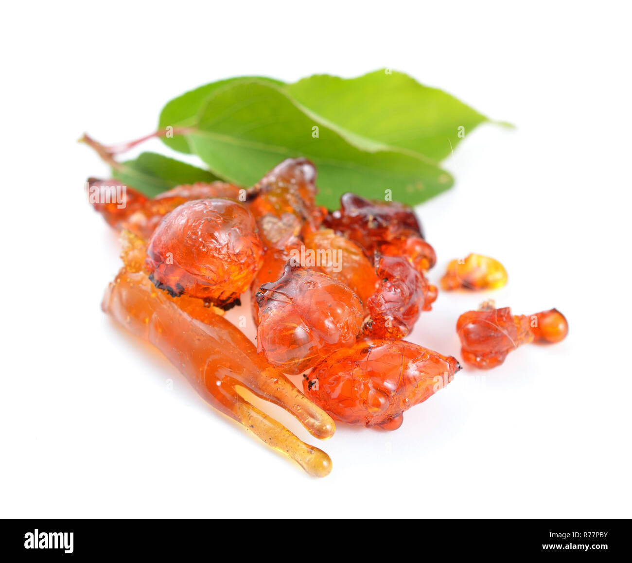 Chewing gum tree hires stock photography and images Alamy