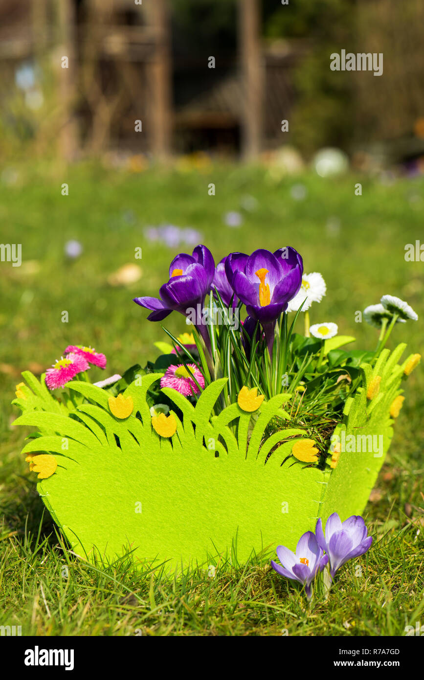 Easter basket with spring flowers Stock Photo - Alamy