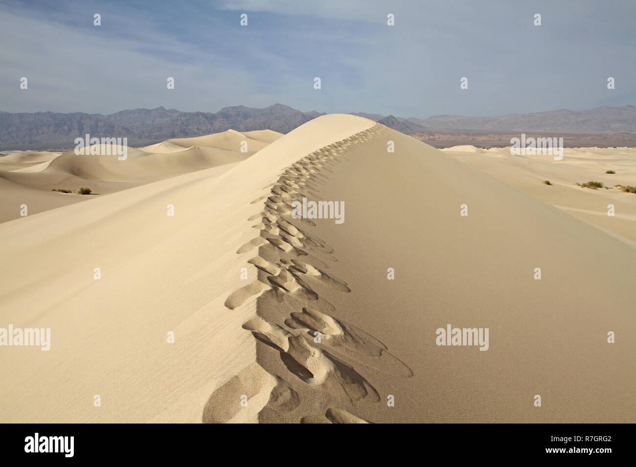 Sand dune ridge with human footprints Stock Photo Alamy