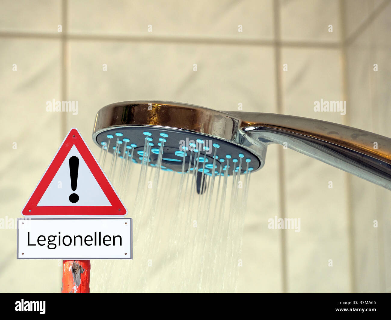 Legionella pneumophila bacteria hires stock photography and images Alamy