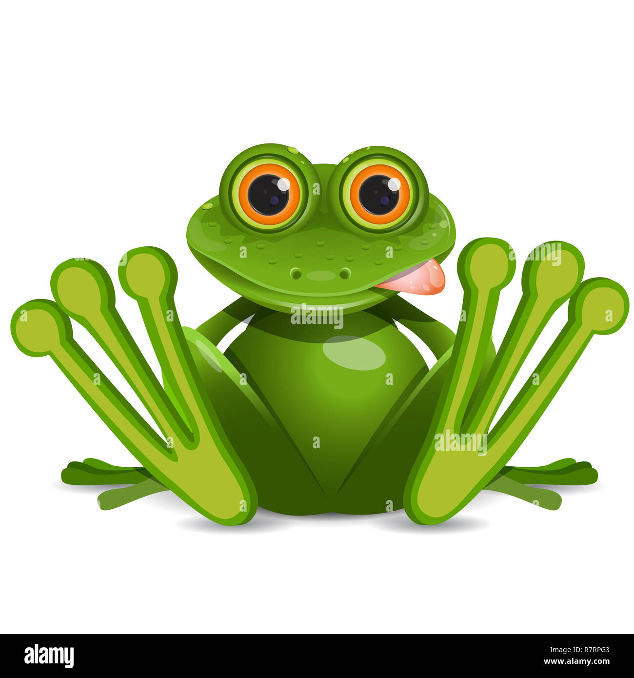 Stock Illustration Fat Frog on a White Background Stock Photo Alamy
