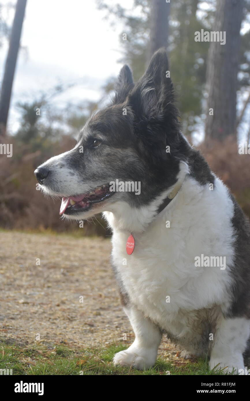 Pink cardigan hires stock photography and images Alamy