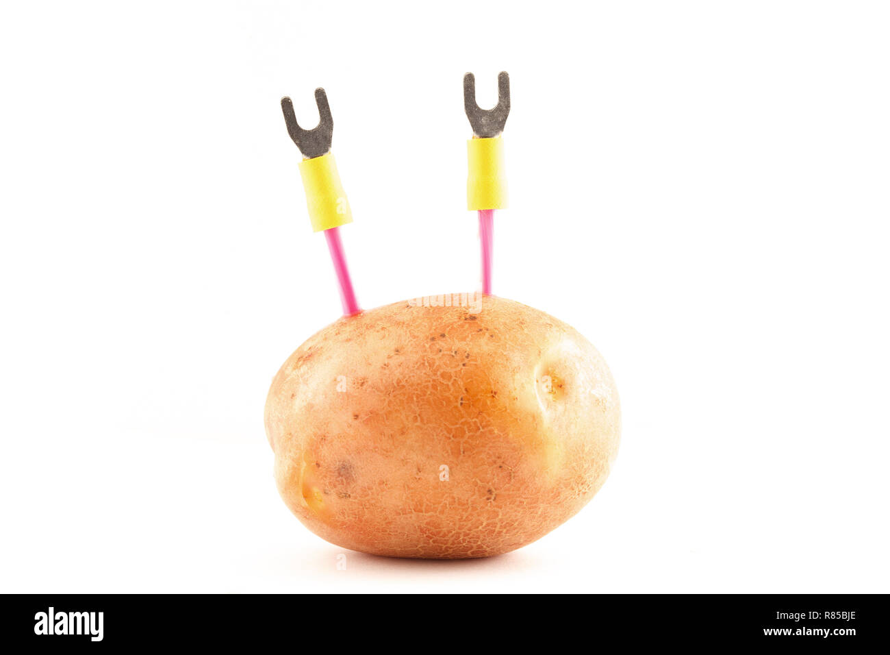 Electrical wires in potatoes Stock Photo Alamy