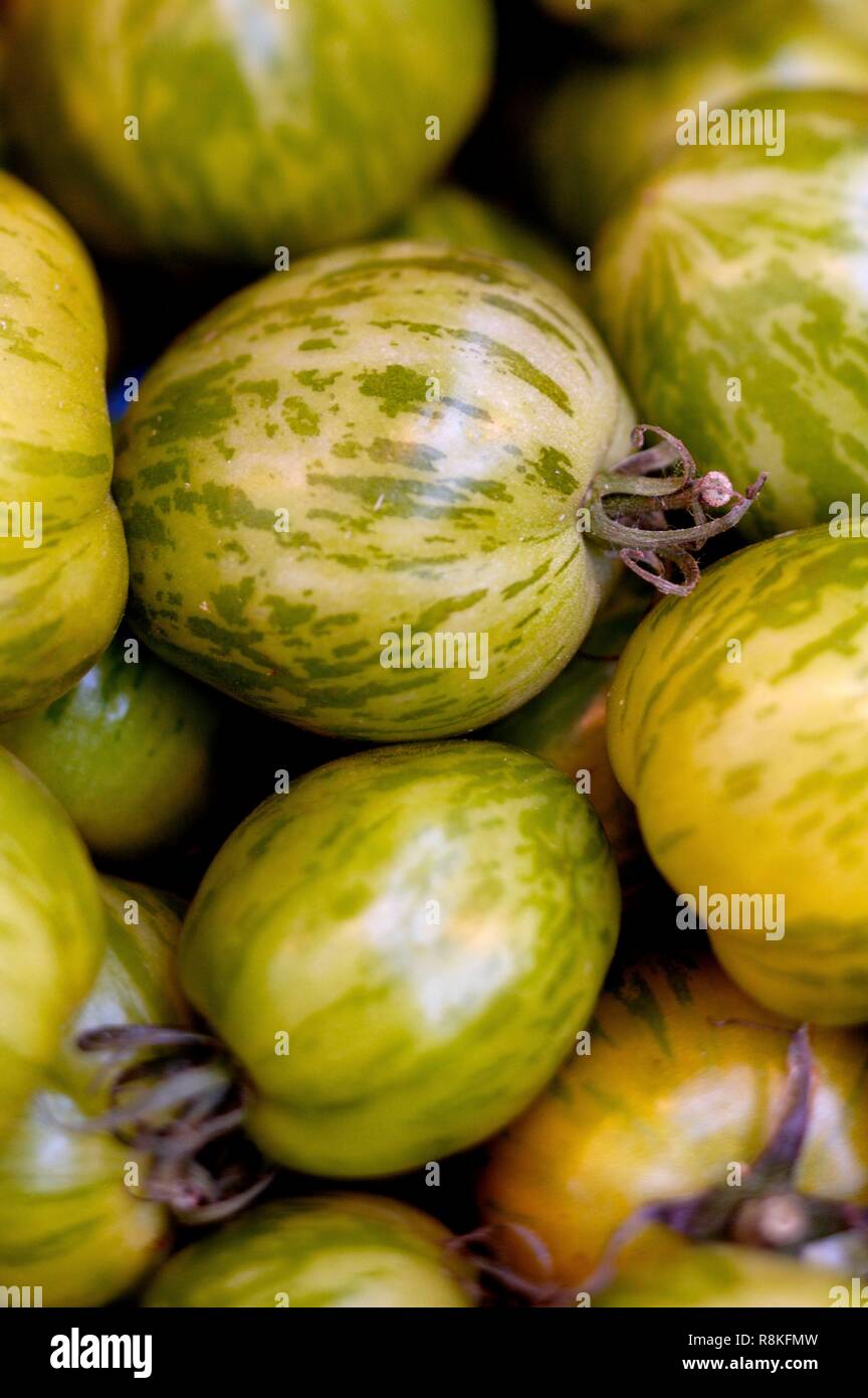 Green tomato still life hires stock photography and images Alamy