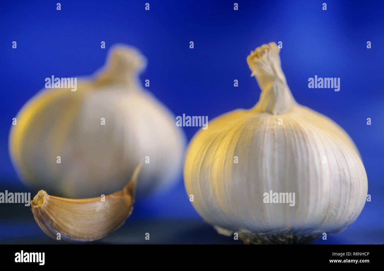 Garlic Bulbs and Clove Stock Photo Alamy
